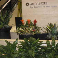 Galleria Houston Texas - Products