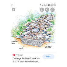 dry creek bed