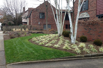 Photo of a large contemporary front yard full sun xeriscape in Other with a garden path and mulch.