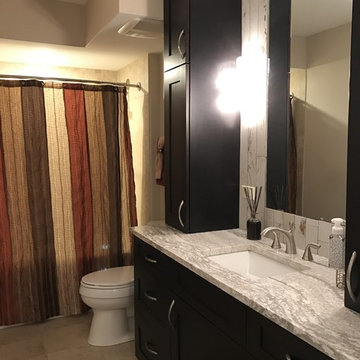 Contemporary Bold Hall Bathroom Remodel