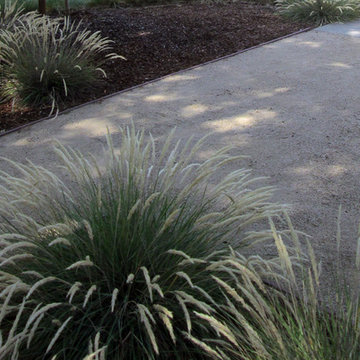 Cambrian Neighborhood, San Jose, California