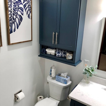 Cordova IL Master Bath Remodel Dura Supreme Hudson Gale Force Cambria Swanbridge