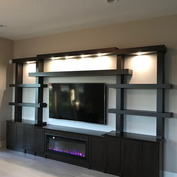 Wall Unit/Entertainment Center