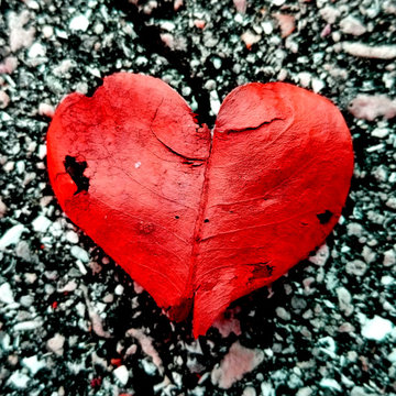 Happy Valentine's Day!