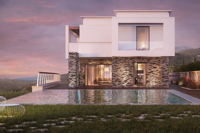 Villa with a pool rendering