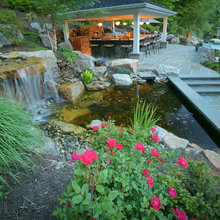 pond