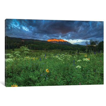 "Wildflowers and Mountain Majesty" by Bill Sherrell Canvas Print, 18"x26"