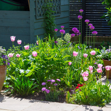 Courtyard garden - traditional