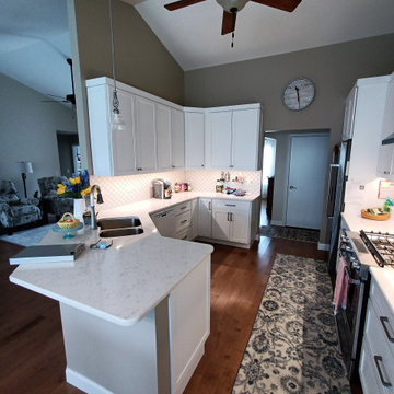 Lake Villa Kitchen Remodel