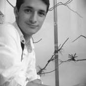 Lucas Fernandes's photo