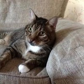 Nancy Oneill's photo