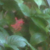 Foto de amisty