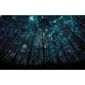 Kathy Tarr's photo