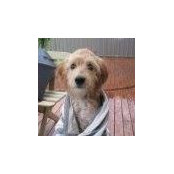 Sharon McCabe's photo