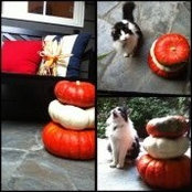 Susan Kenney's photo