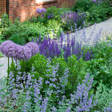Colour Combos