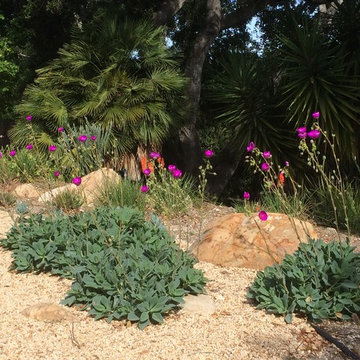 Perennials Pop