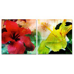 Ready2HangArt - Tropical Hibiscus Canvas Wall Art, 2-Piece Set - This Tropical Hibiscus was inspired by the Caribbean Island of Antigua; full of vibrant color and natural beauty. The tropical hibiscus floral art is offered as a 2-PC Canvas Art Set. It is fully finished, arriving ready to hang at your home or office.