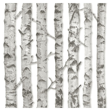 Merman Light Grey Birch Tree Wallpaper Bolt