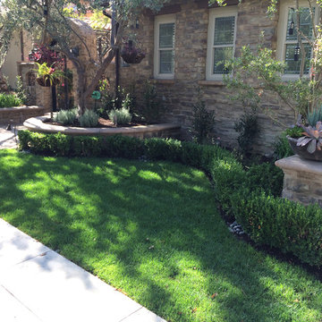 Mediterranean Tuscany Theme - Ladera Ranch