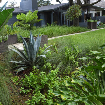 Mid-Century Modern Garden