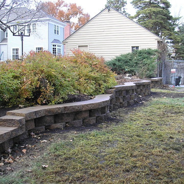 Compilation work of Aesthetics, Inc.