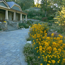 landscaping ideas
