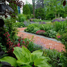 Shade landscape