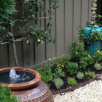 Organic Kitchen Garden