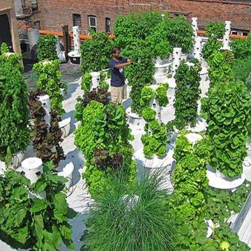 Roof Top Tower Gardens