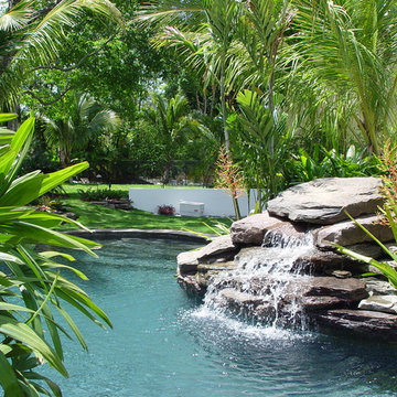 South Miami Tropical Oasis