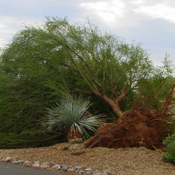 Monsoon