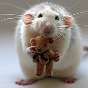 Jill Gittins's photo
