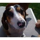 Karen Herschbach's photo