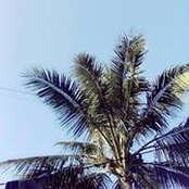 Foto von Ken Chuồn