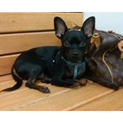 Basem Goueli's photo