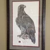 Terry Breitung's photo