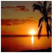 Rita Lynch's photo