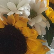 Lisa Zubiate's photo