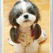 petitonaさんの写真