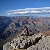 Sarah Malwe's photo