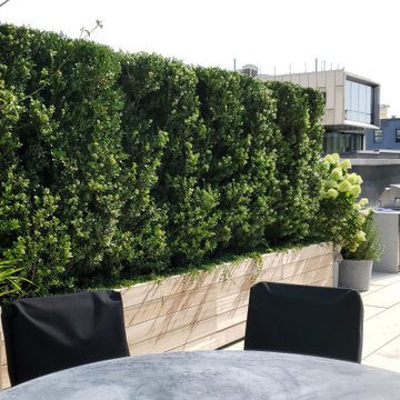 Ipe Penthouse Roofdeck and Garden Brooklyn, NY (Dumbo)