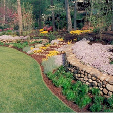 Landscape Front-Side