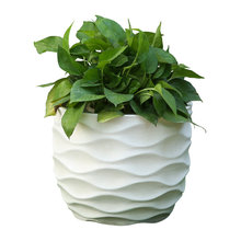 Outdoor Planters