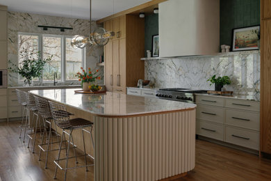 Transitional kitchen photo in Dallas