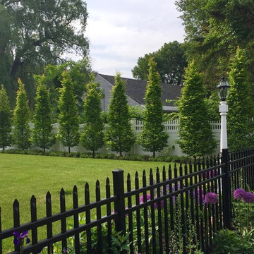 Beautiful Green Hedge