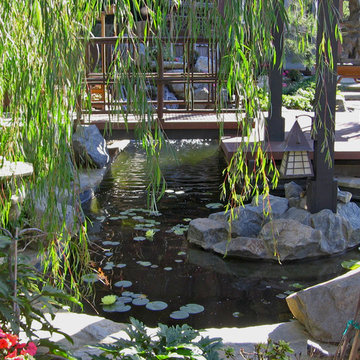 KOI Pond