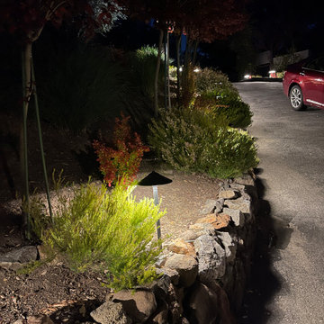 San Anselmo Driveway Lighting and Backyard Lighting
