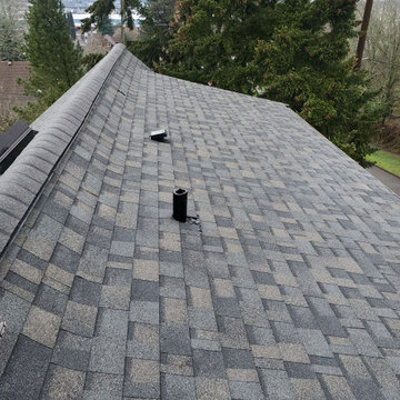 Owens Corning - Asphalt Shingle - Peppercorn