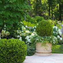 Landscaping Ideas